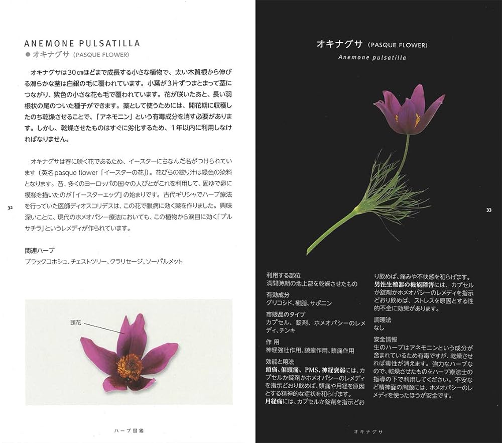 オーガニックハーブ図鑑 祝出版・オーガニックハーブ図鑑！ : 吉谷桂子のガーデニングブログ