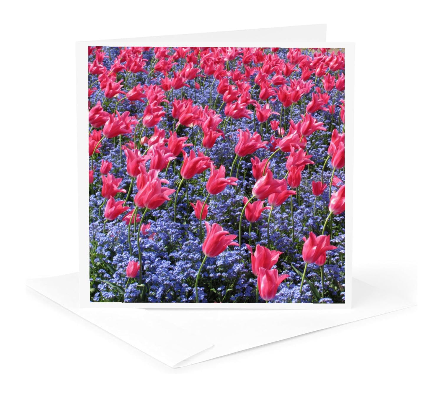 6er-Set Grußkarten Mit Rosa Tulpen-Muster – 15,2 X 15,2 Cm, Inkl. Weiße Umschläge, Leer Zum Selbstbeschriften