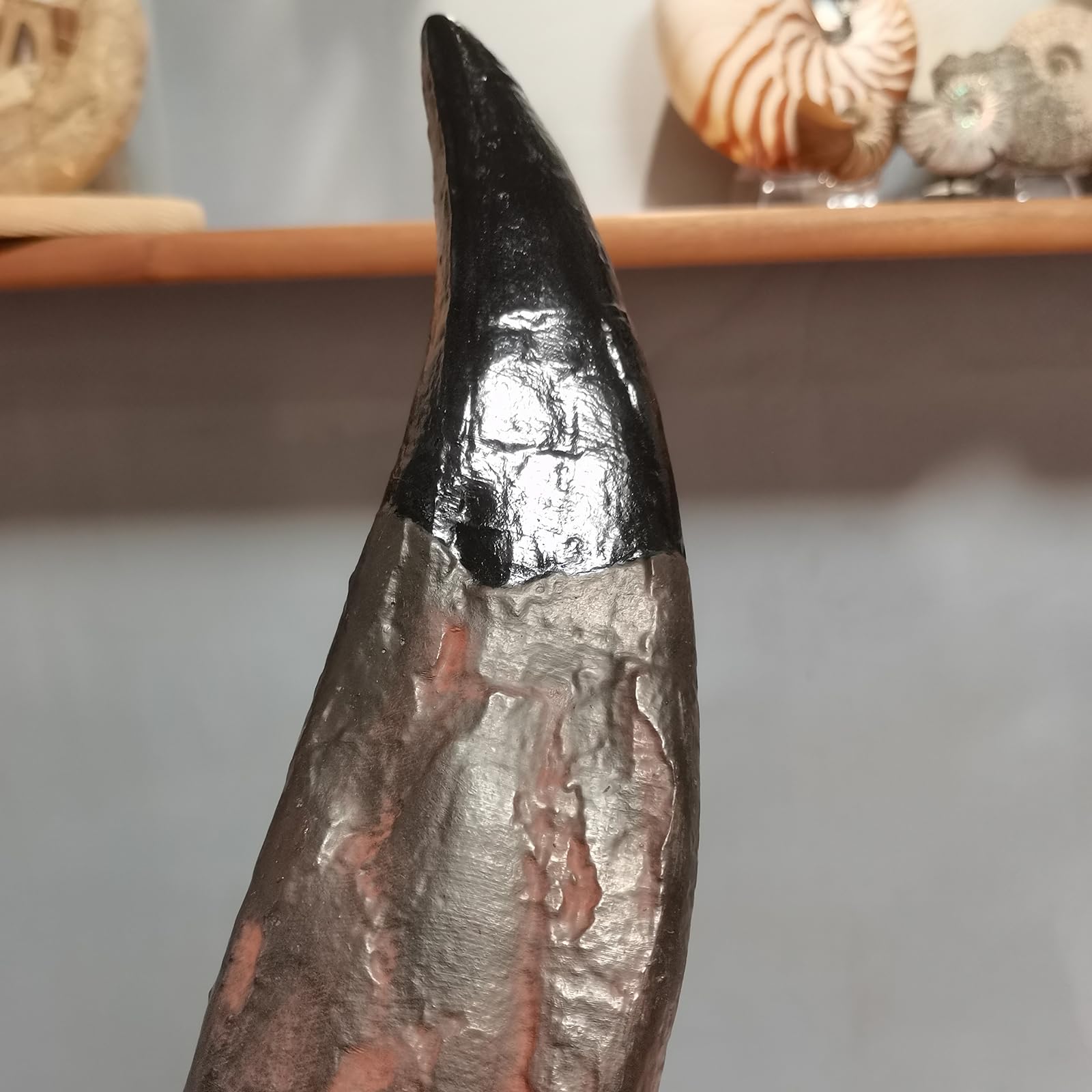 T-Rex - Estatua de diente de calavera de dinosaurio, réplica de fósil para regalo decorativo coleccionable educativo