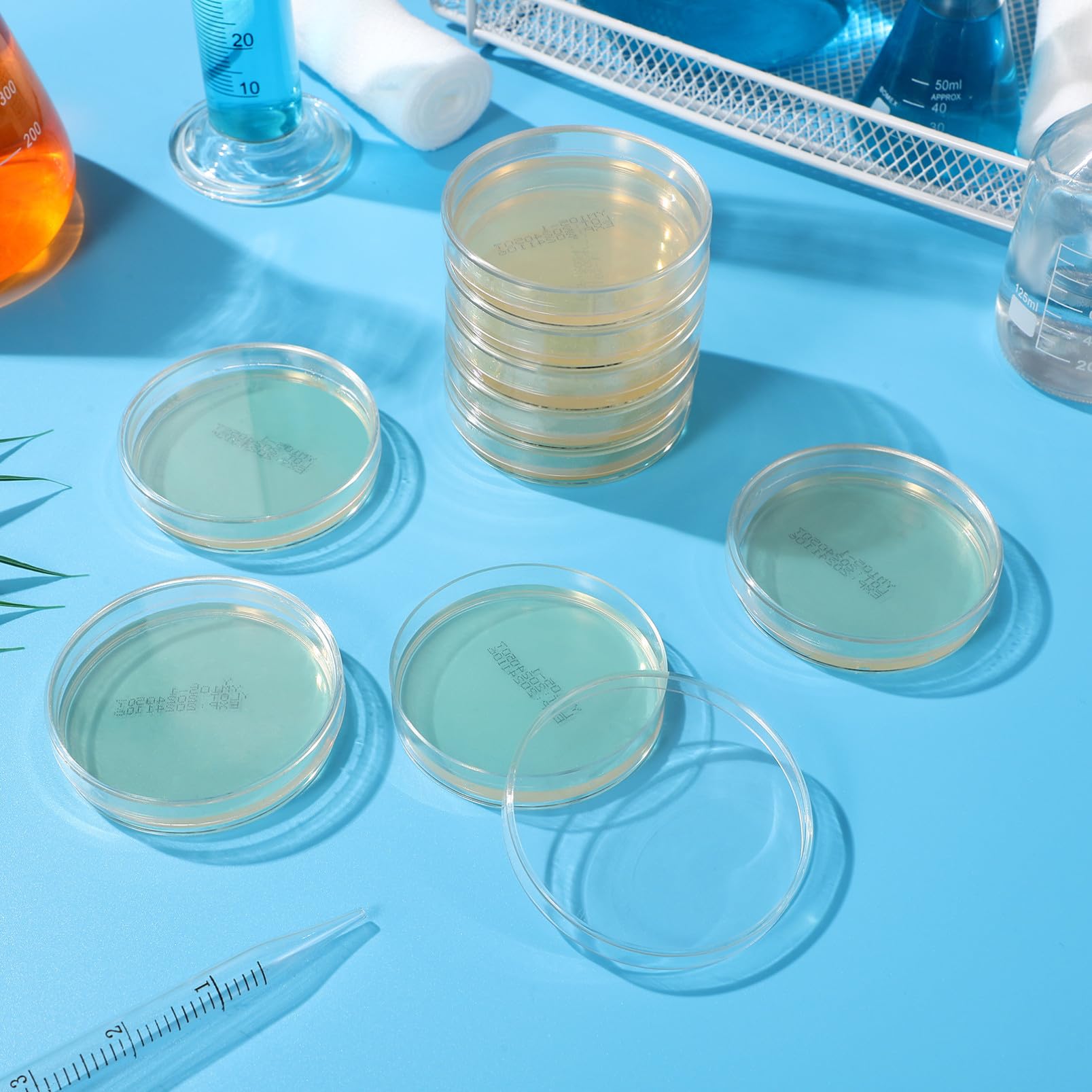 Placa de Petri Pre-vertida 7cm con Agar Nutritivo, 10 Piezas | Placas de Petri con Agar, Placas de Agar para Laboratorio, Decoracion Colegio