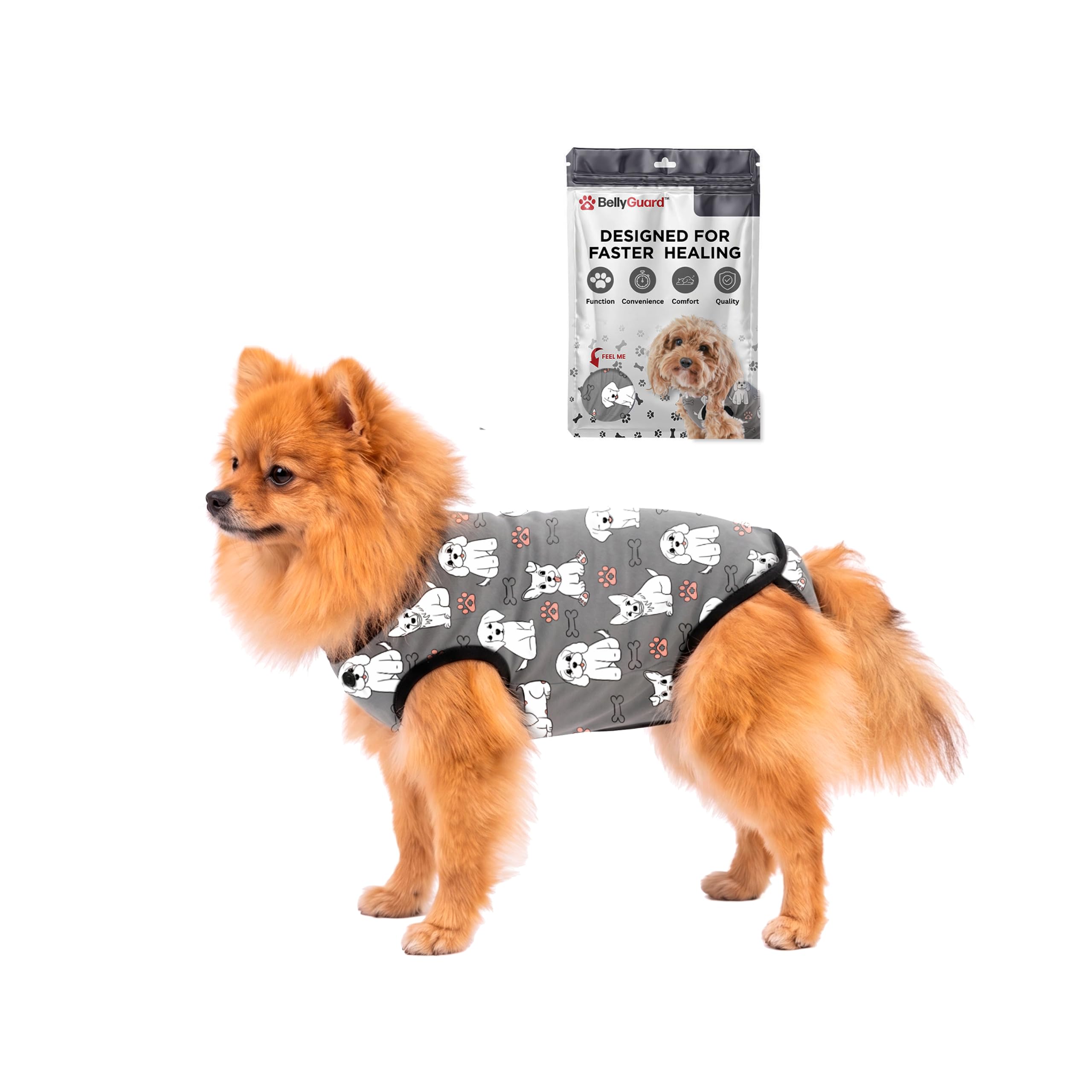 BellyGuard Dog Surgery Recovery Suit, Male Female After Spay Neuter Onesie