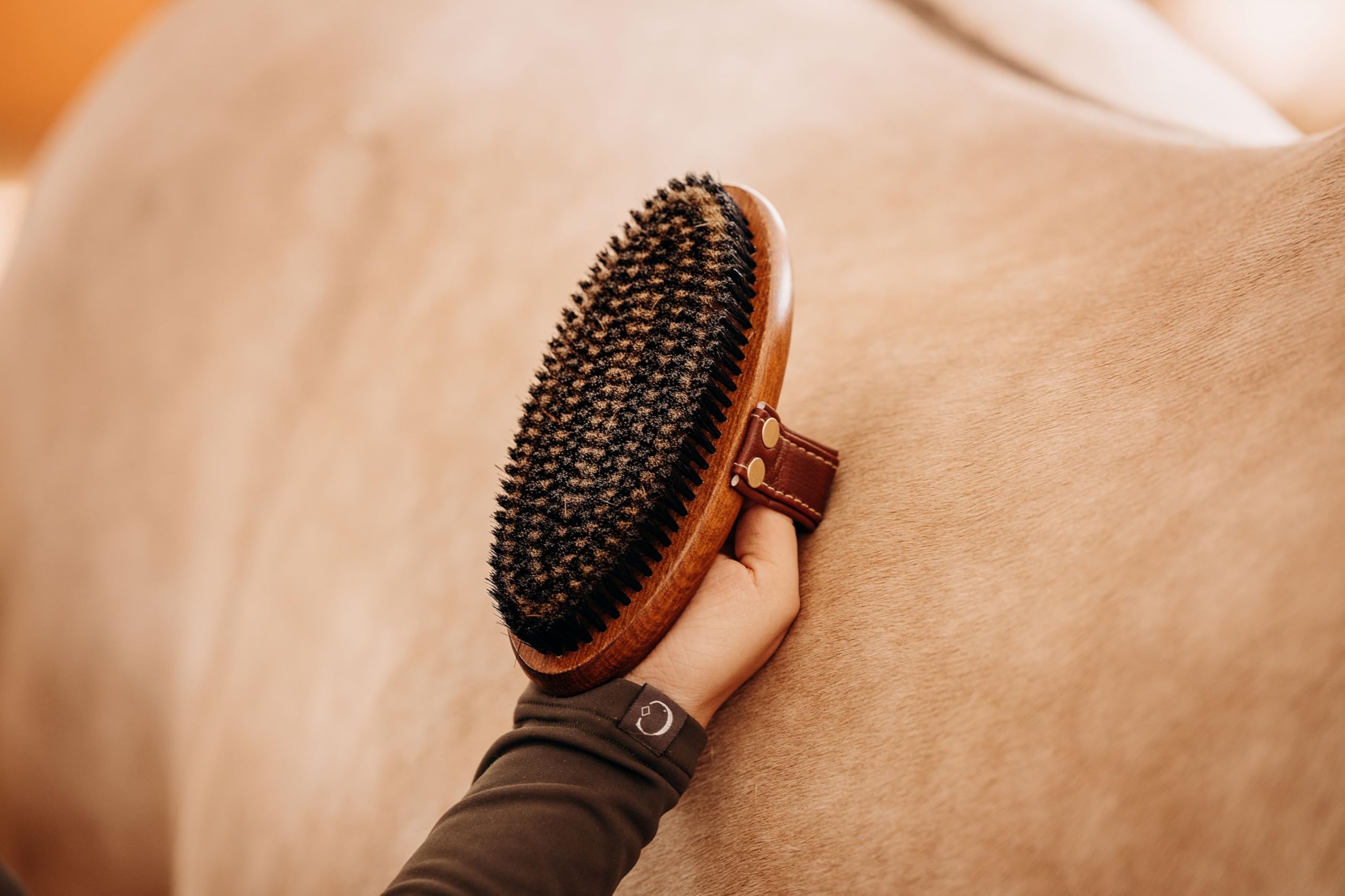 Metallbürste – Kardätsche aus Holz mit stabilen Messing- & Naturborsten – für gründliches Striegeln, Schmutzentfernung, tiefe Fellpflege & Glanz bei Pferd & Pony