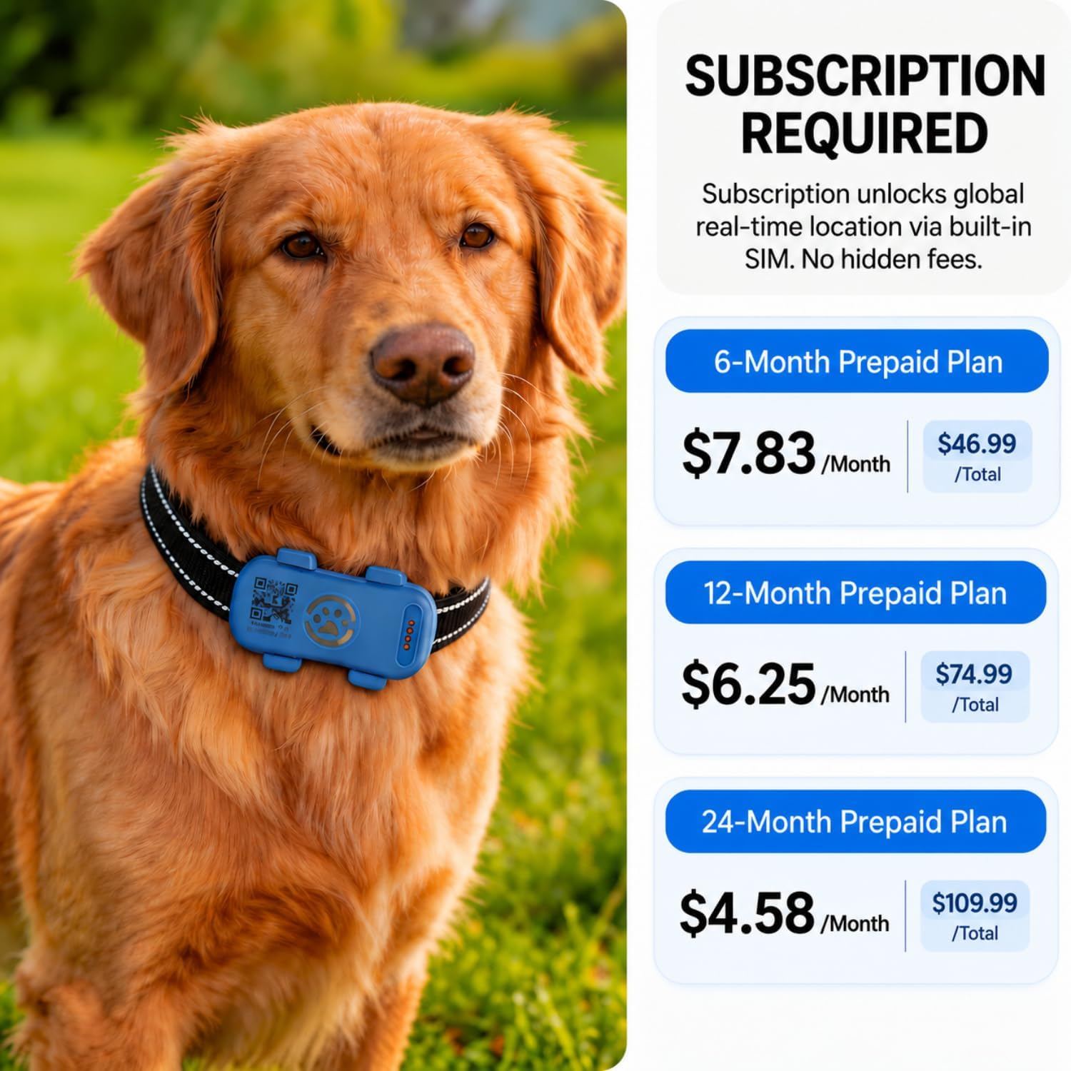 GPS Tracker for Dogs, Real-Time Location Update