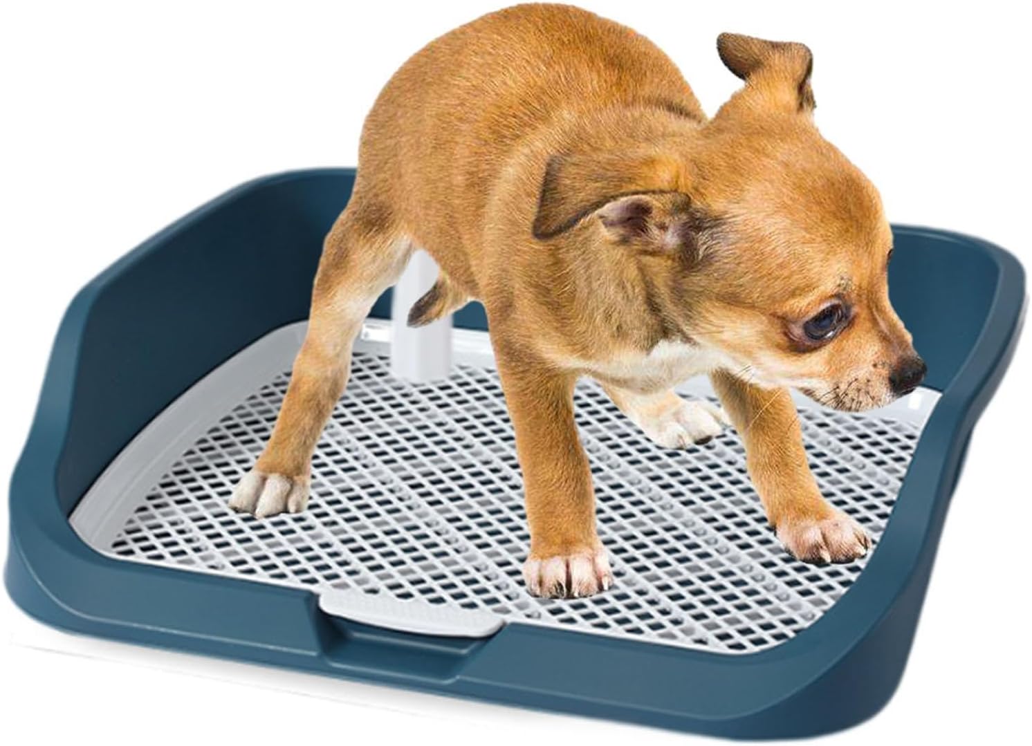Pet Toilet Reusable Comfortable Dog Potty Pad for Puppy Indoor Small Animals (Green)