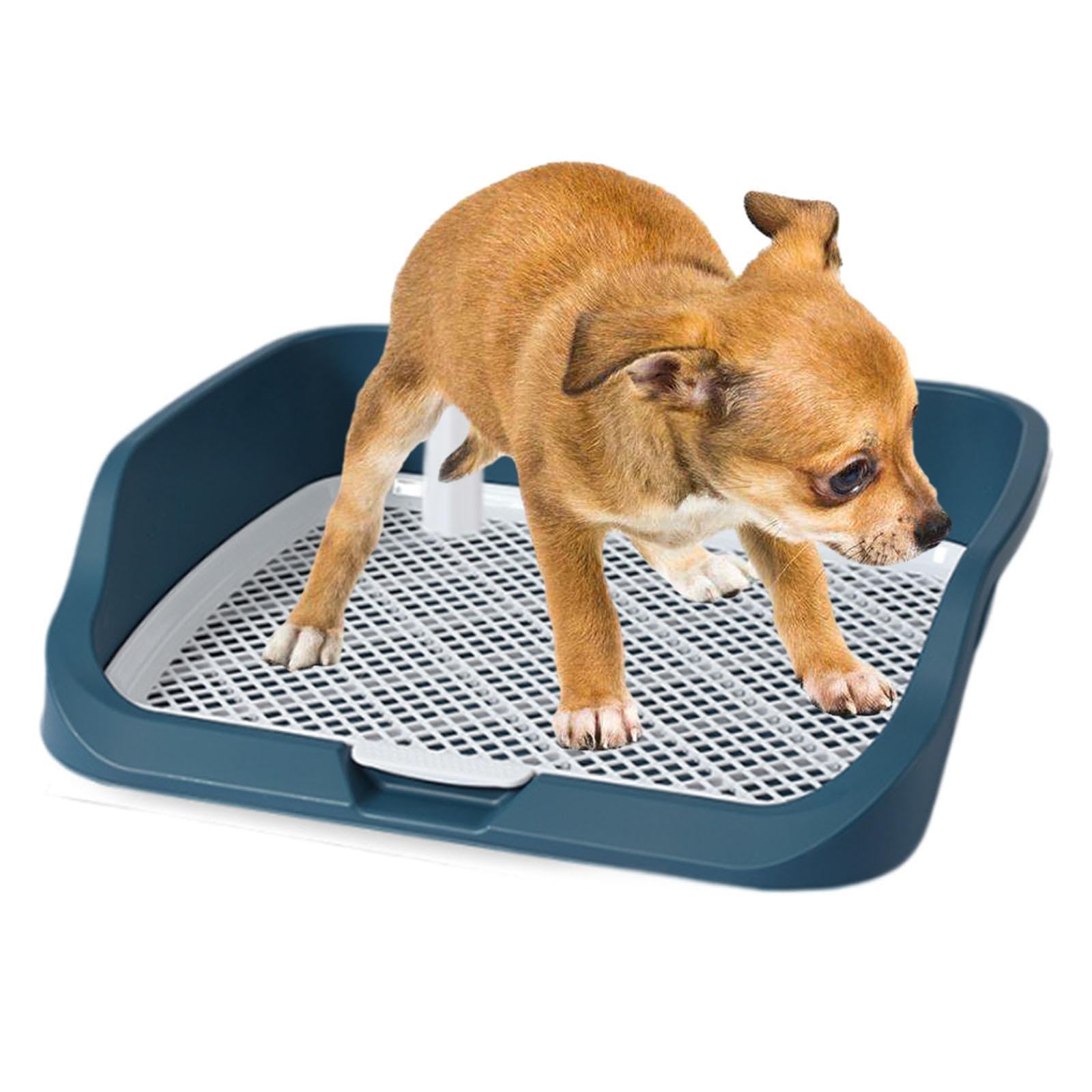 B Baosity Bandeja Sanitaria para Perros con Poste Guía Bandeja de Entrenamiento para Cachorros Rejilla de Malla Bandeja Higiénica para Conejos Material PP