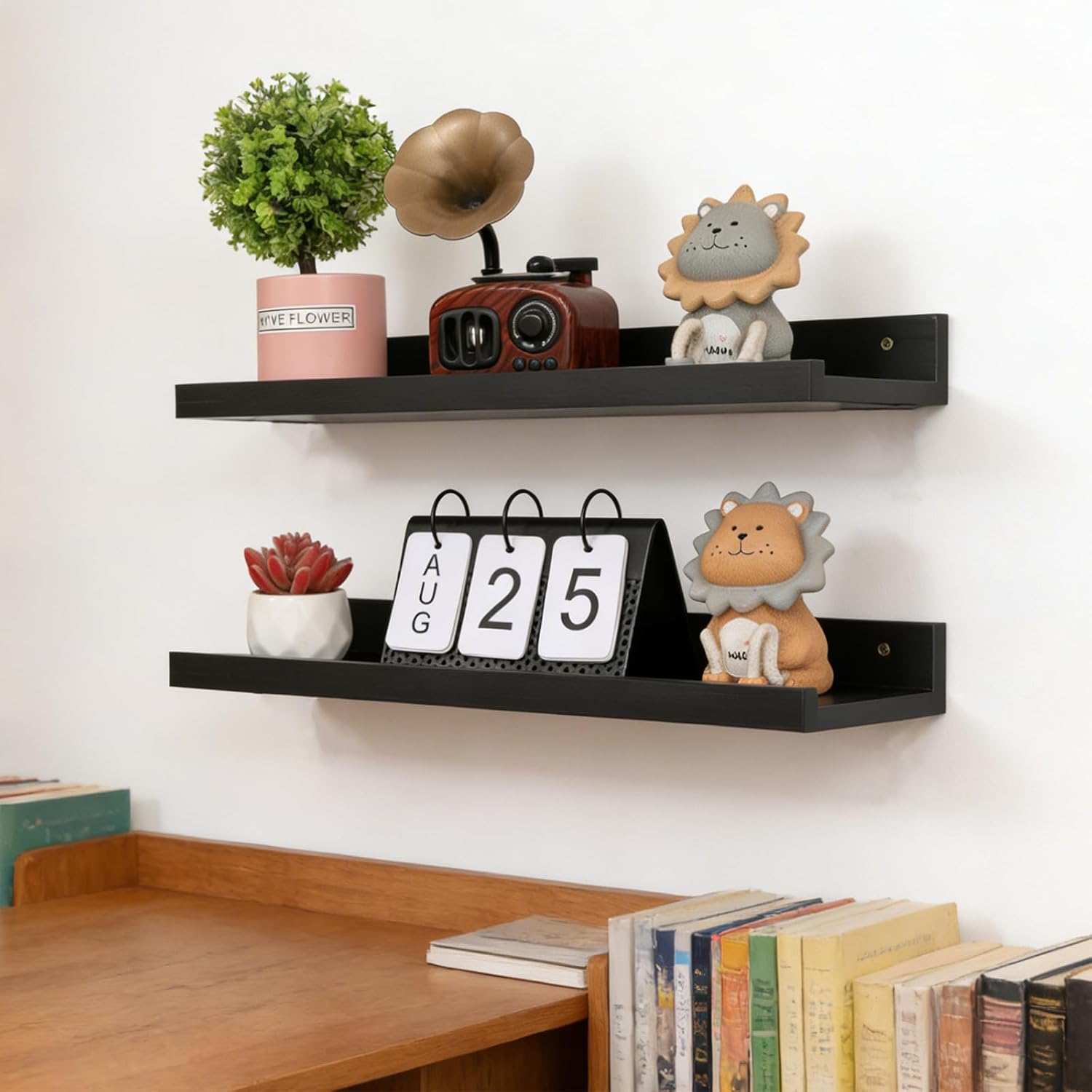 Floating Shelves for Wall,Home Farmhouse Shelf with Lip,16.3" Long Wall Mounted Floating Shelf for Living Room,Bedroom,Bathroom,Kitchen,Wall Shelves for Storage, Books, Room Decor(Set of 2-Black)