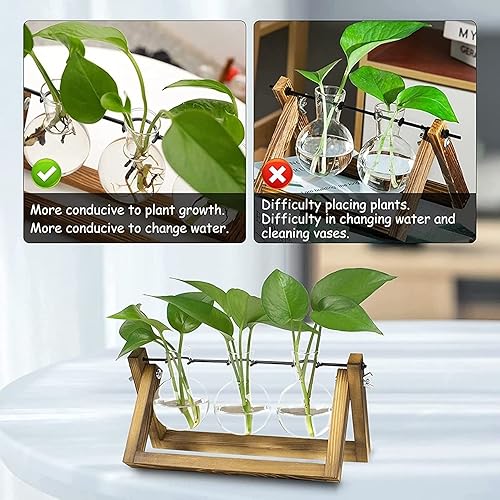 Miniatura 4 de Kingbuy Maceta de vidrio de escritorio con soporte de hierro y madera, terrarios para decoración de escritorio de oficina interior, accesorios de