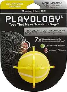 Playology Dog Balls for Medium and Large Dogs (10lbs & Up) - Dog Ball for Aggressive Chewers - Squeaky Toy, Engaging All-NaturalÂ Chicken Scented - Non-Toxic Rubber Dog Ball Toys