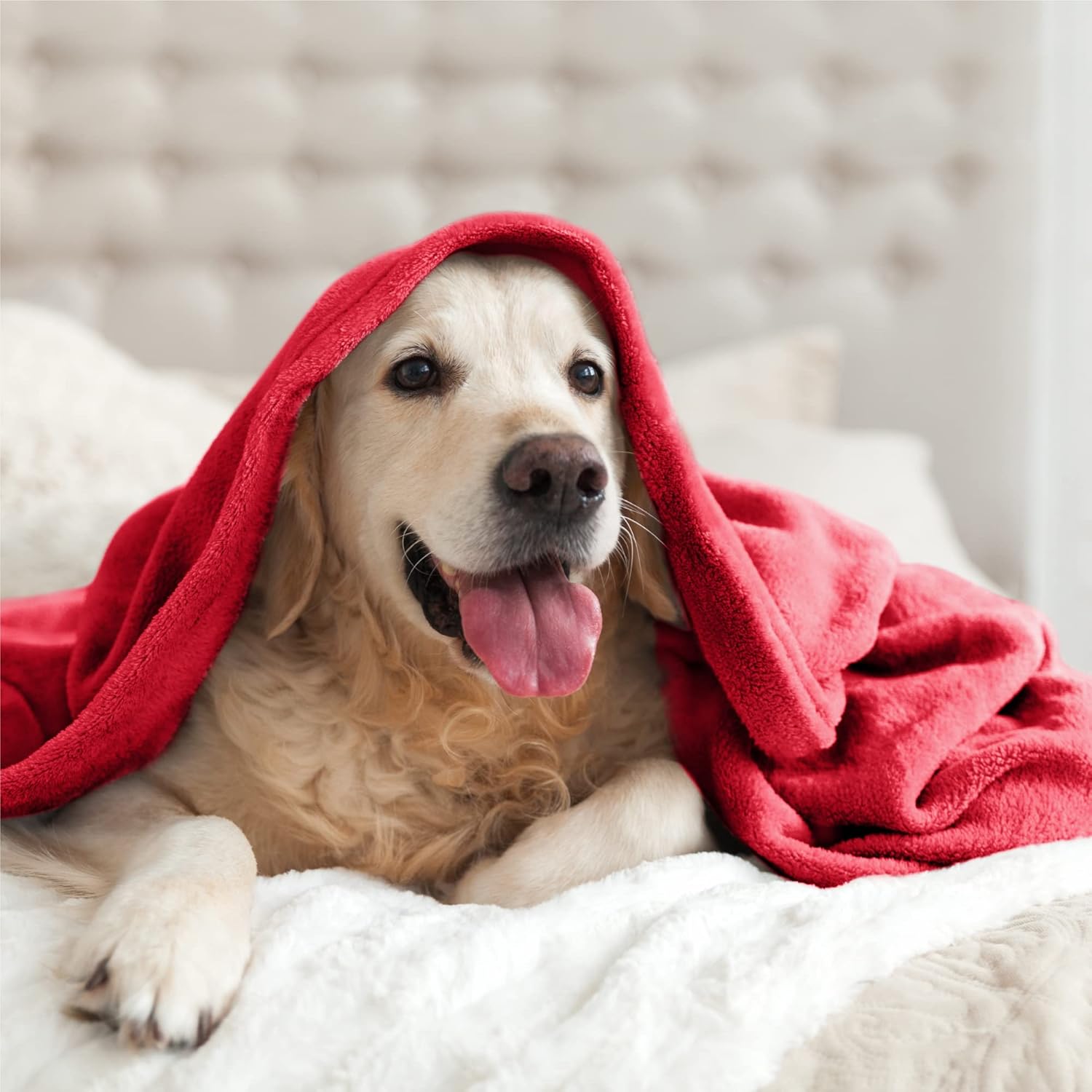 BEDELITE Fleece Blanket King Size Blankets for Bed, Luxury Plush Cozy Fuzzy Blanket 108x90 inches, Super Soft Warm Lightweight Throw Blanket All Seasons Suitable, Red - Image 9