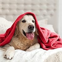 Vista 266 de BEDELITE Fleece Blanket White Throw Blanket for Couch & Bed, Luxury Plush Cozy Fuzzy Blanket 50" x 60", Super Soft Warm Lightweight Throw Blanket