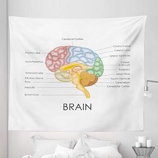 Ambesonne Anatomy Tapestry King Size, Science Human Brain Parts Biology Cerebral Cortex on Plain Background, Wall Hanging Bedspread Bed Cover Wall Decor, 104" X 88", White and Multicolor