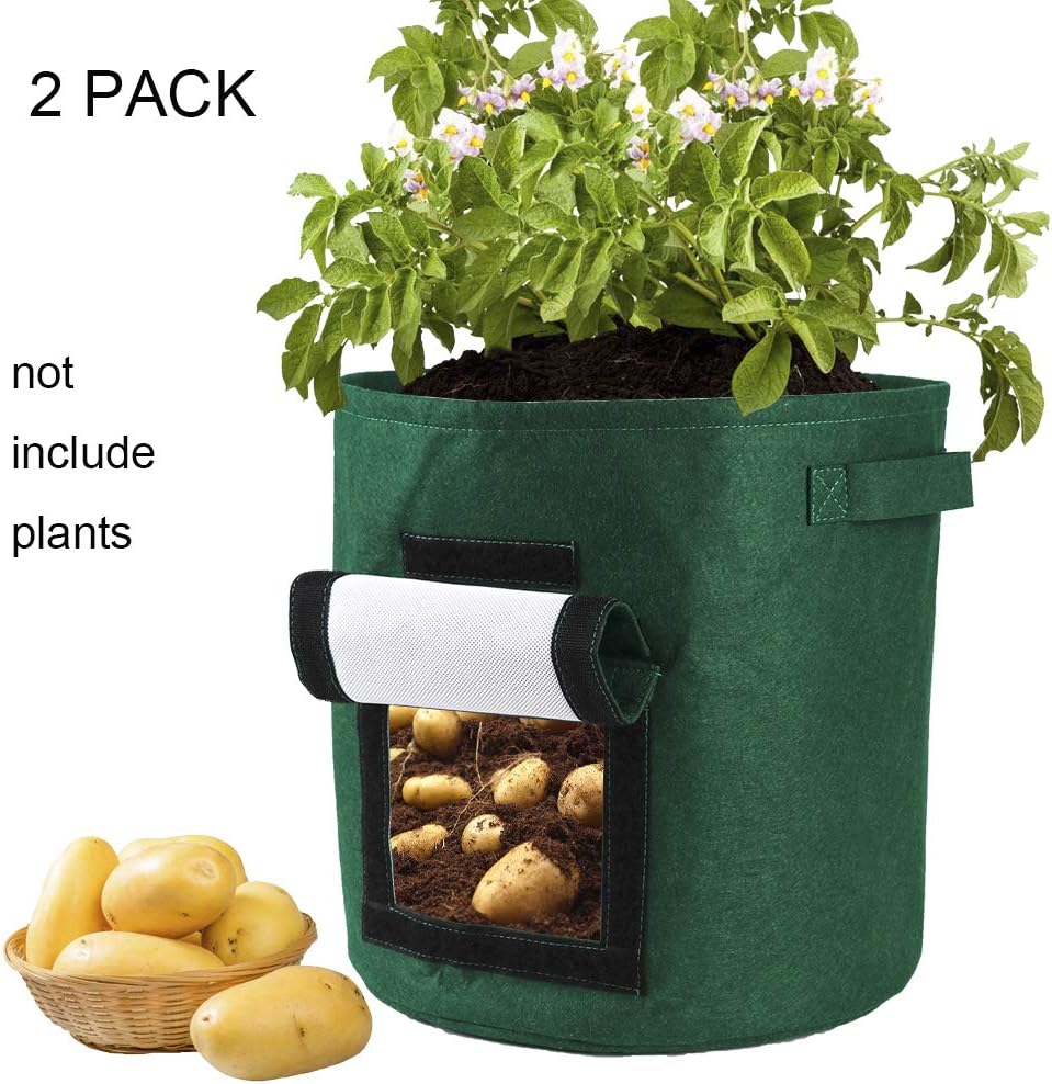 coltivatori di barbabietole da zucchero