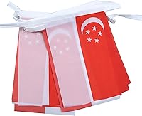 Vista 337 de Guatemala 19.7 ft BUNTING Flag 20 banderas 9'' x 6'' - Banderas de cuerda guatemalteca 5.9 x 8.3 in - AZ FLAG