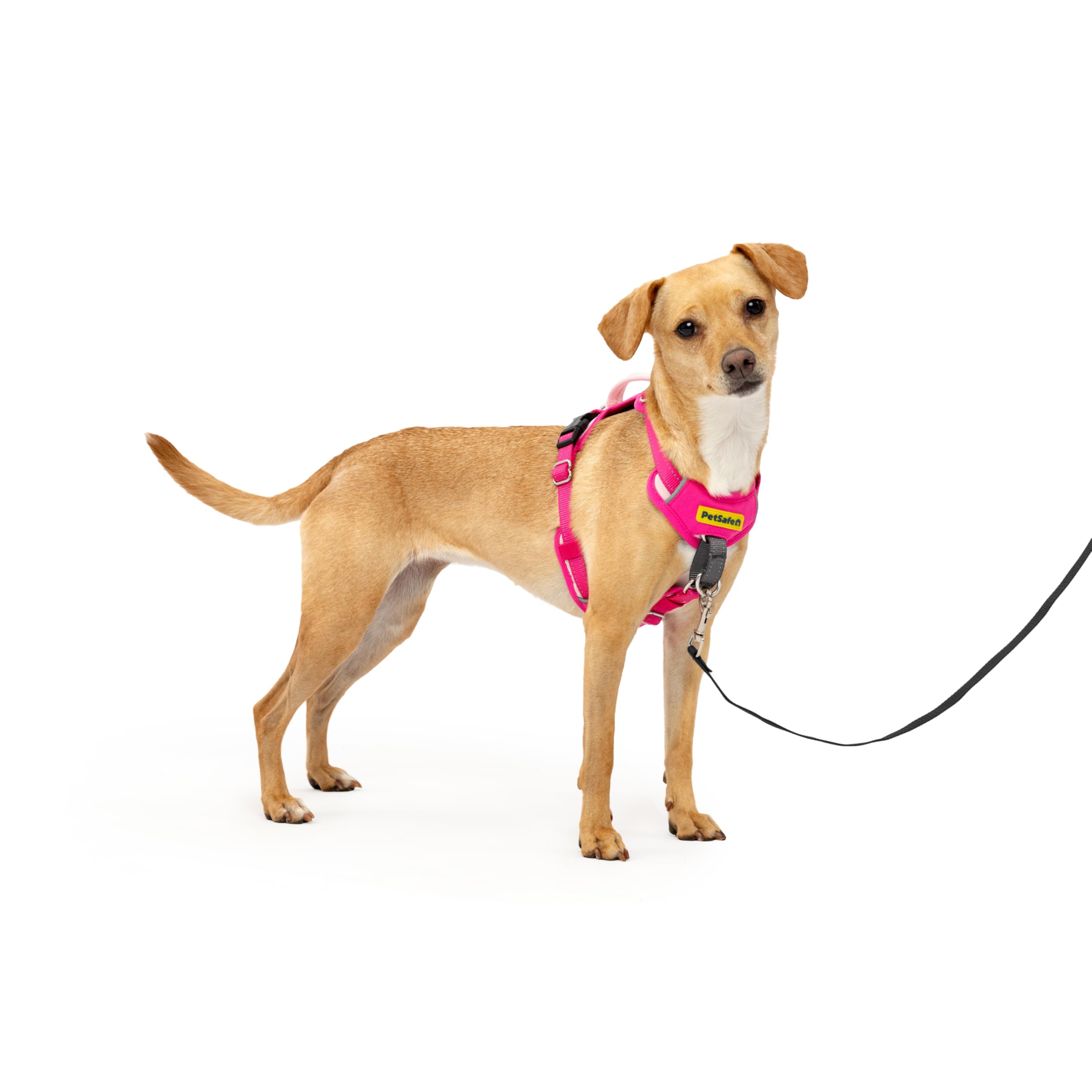 PetSafe Easy Walk Comfort No-Pull Dog Harness Full-Body Padding - Better Walks on the First Use - 5 Points of Adjustment X-Small, Pink
