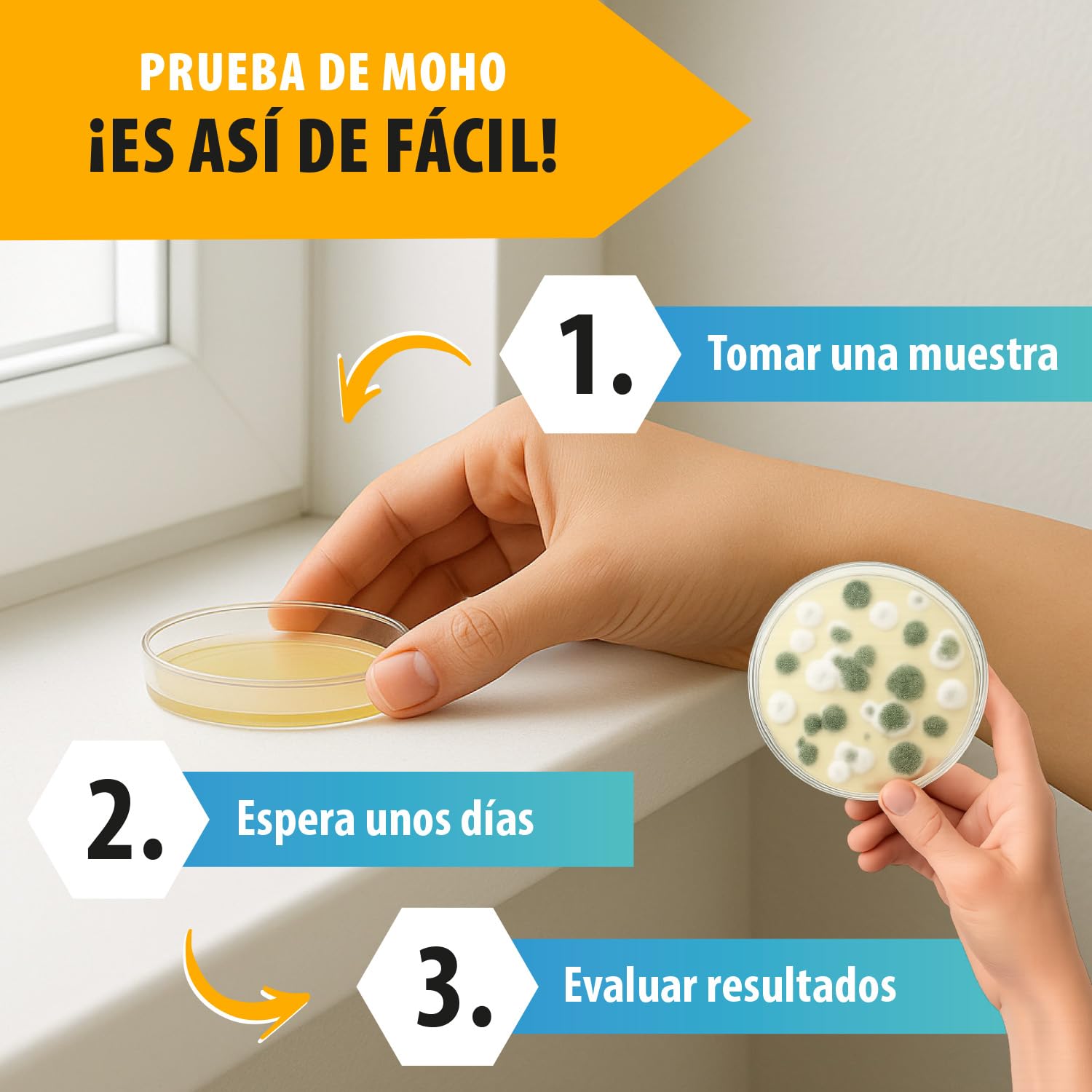 Prueba de moho en la vivienda – Tester de moho para hasta 6 habitaciones – Test rápido con placas de cultivo para evaluar el aire interior