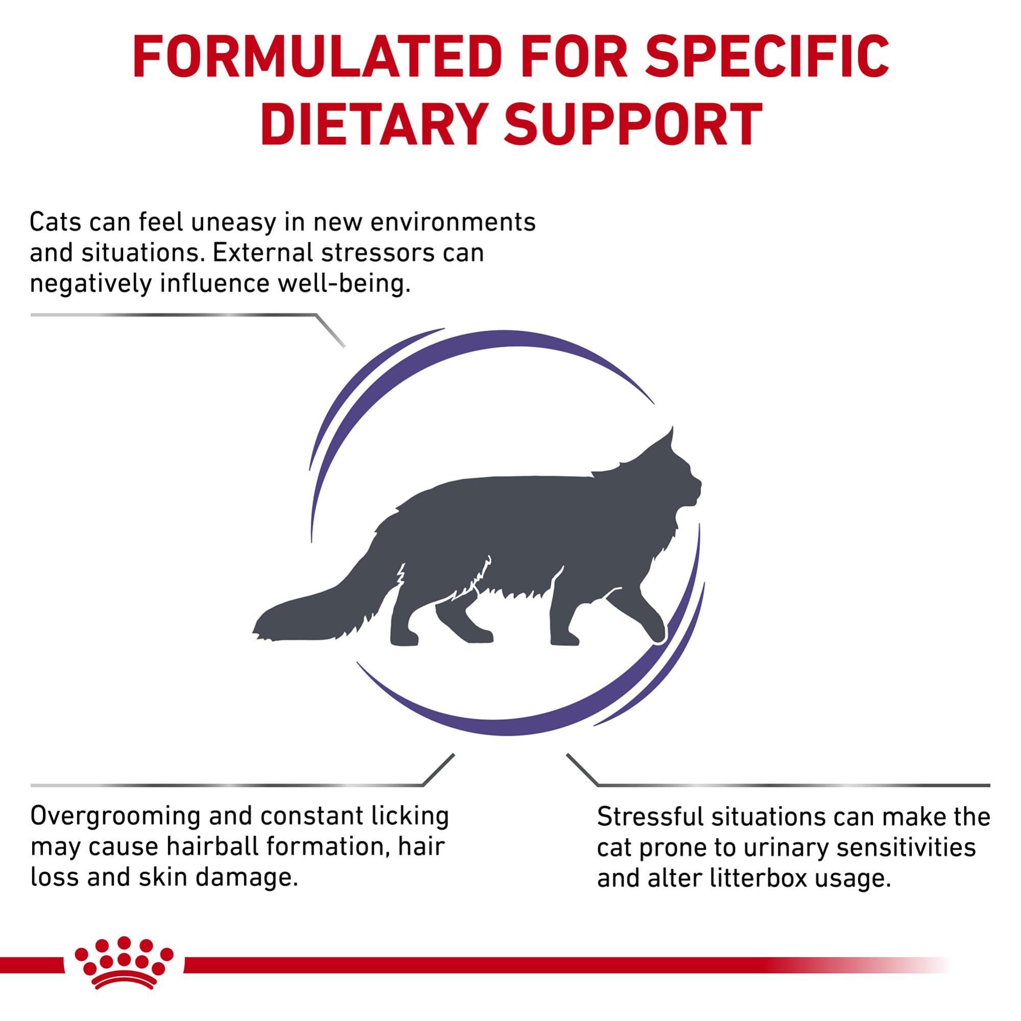 Royal Canin Expert Calm | 4 kg | Alimento completo per gatti adulti | Possibile effetto rilassante | Proteina del latte idrolizzata e L-triptofano