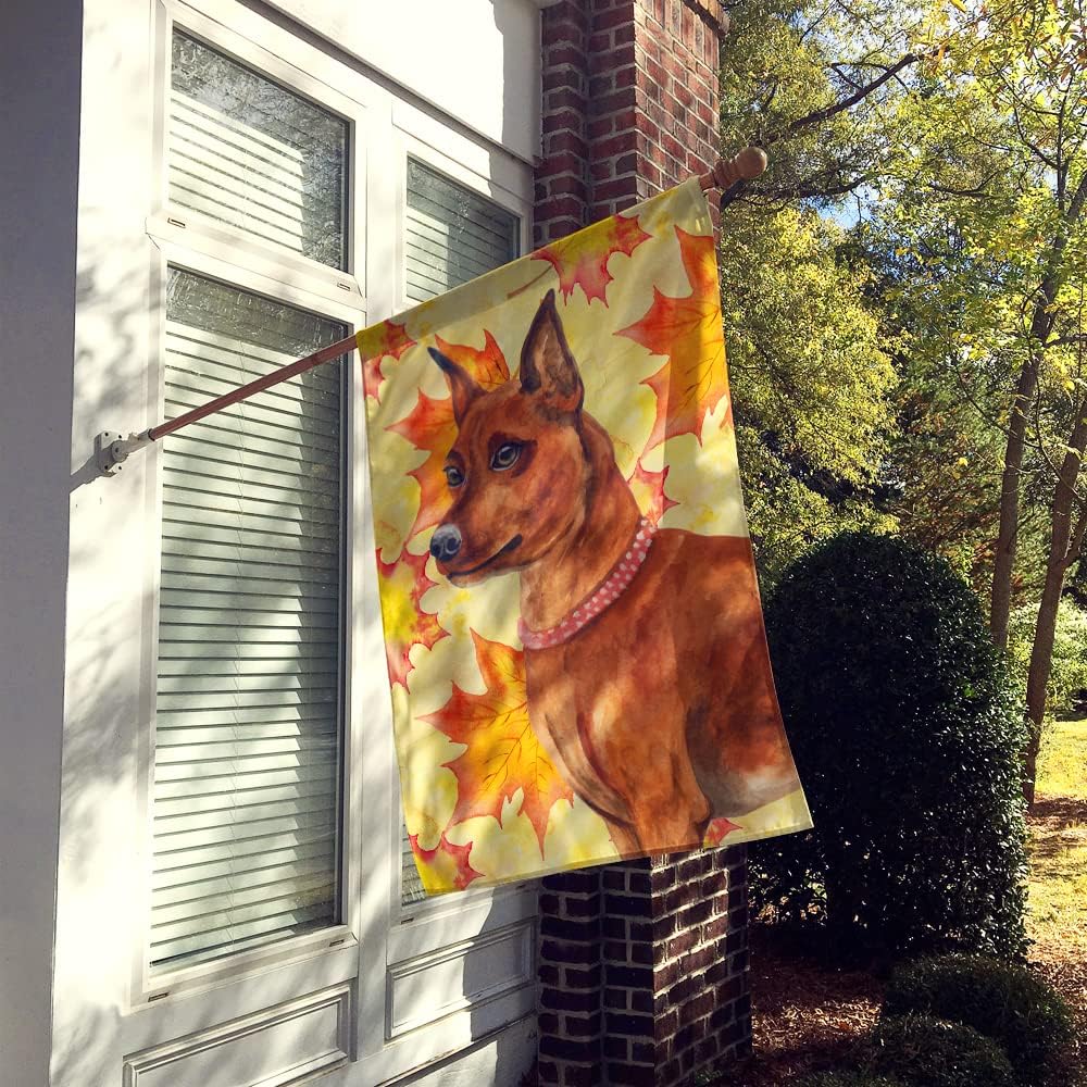 Caroline's Treasures BB9917CHF Miniature Pinscher Fall House Flag, Yellow Large Porch Sleeve Pole Decorative Outside Yard Banner Artwork Wall Hanging, Polyester, House Size, Multicolor
