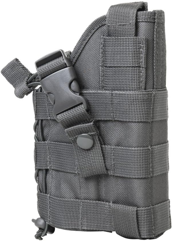 Wolf Grey MOLLE Compatible Holster with Free MOLLE Compatible 2 Pocket Magazine Pouch/The Holster Fits SIG SAUER P220 P226 P227 P229 P250 P270 SP2022 Mosquito Full Size Pistols