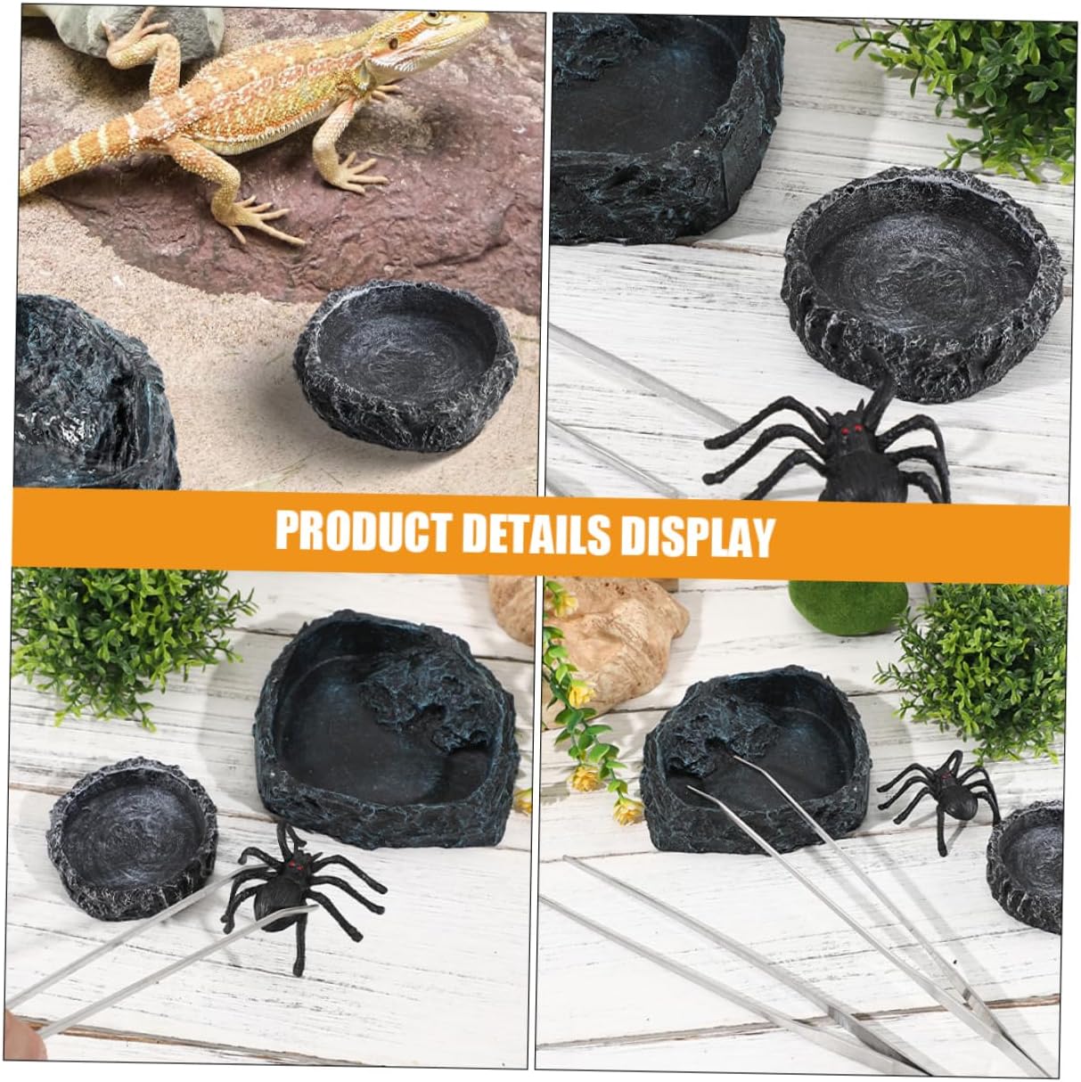 Sosoport 1 Set Bearded Dragon Food Bowl Large Reptile Water Dish Crab Water Dish Feeding Tongs for Tortoise Snake Other Reptiles Convenient Feeding Accessory for Terrariums