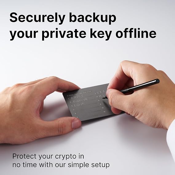 SecuX W10 Crypto-Asset Hardware Wallet - The Ideal Solution for Safely Storing Your Bitcoin, Ethereum, Ripple, Litecoin, Bitcoin Cash and More (W10C)