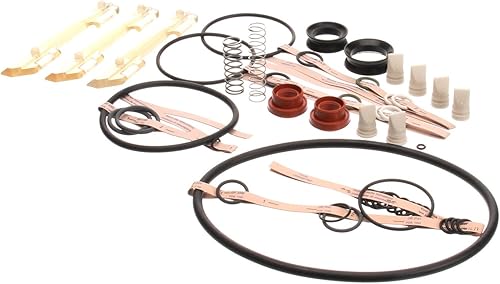 Carpigiani IC193-010338 Carpicare Kit 3/E, 6 Monate