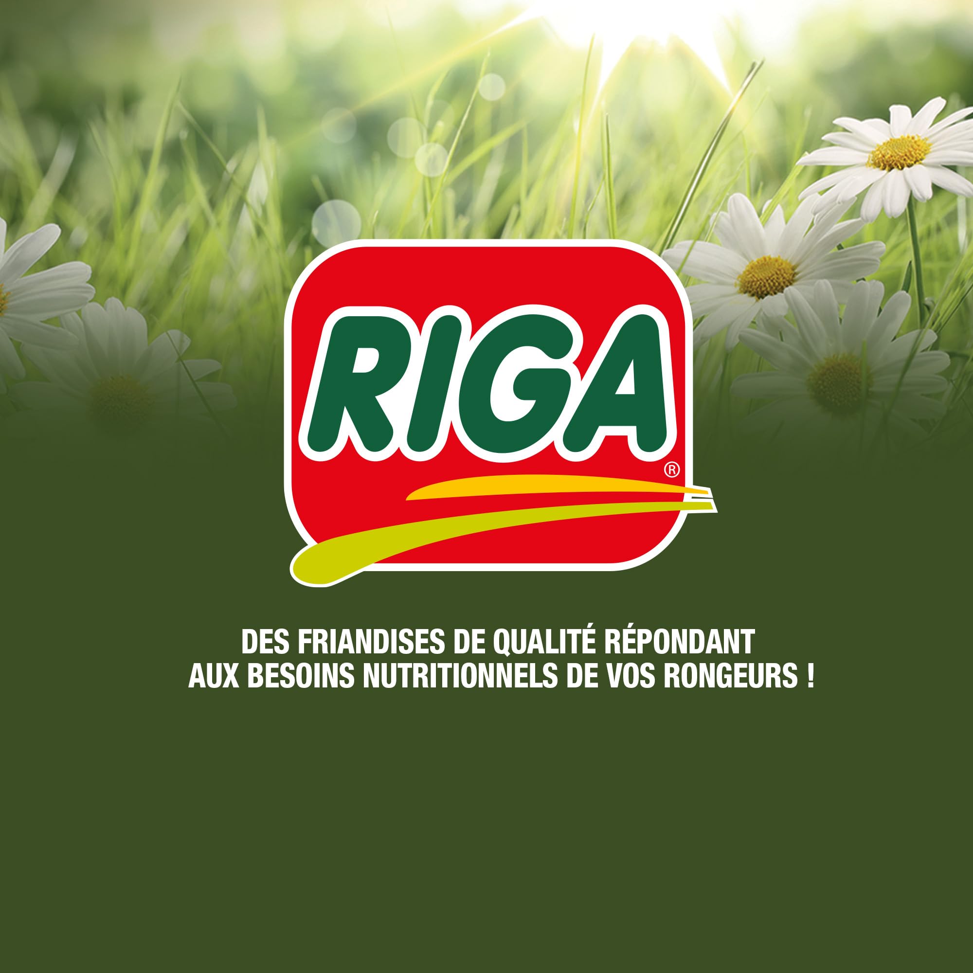 Riga - Rondly à l'Orange - Friandise Complémentaire pour Rongeur - A Base De Produits Laitiers - A l'Orange - Récompense Idéale - Friandise Croquante Et Savoureuse - 125 g