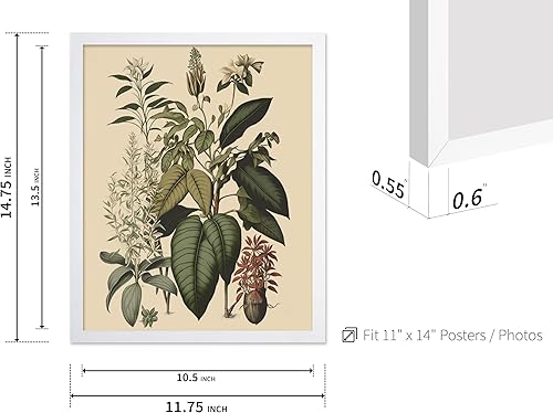 Miniatura 87 de Poster Master Póster vintage de orquídea, estampado de flores retro, arte de pared de plantas exóticas, arte botánico, regalo para hombres y
