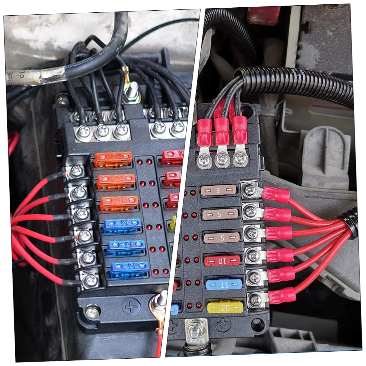 Scatola Fusibili 12 Circuiti Dc32v 100a Pbt PC per Auto e Barca | Rame Nichelato e Acciaio Inox, Luce Indicatore, Manutenzione Rapida e Protezione Dai Detriti