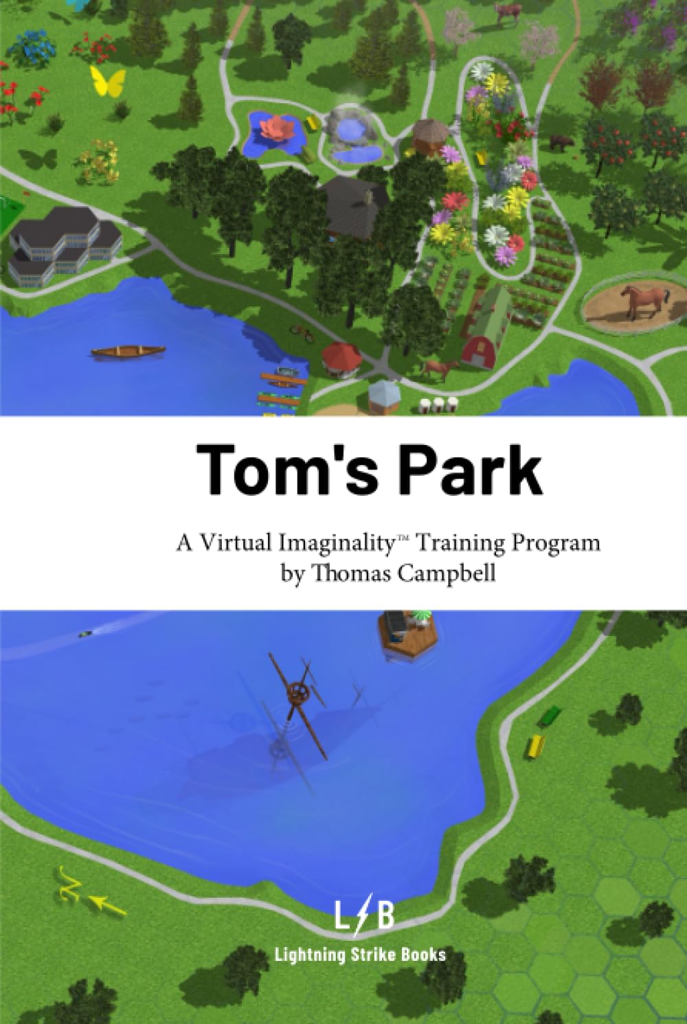 Tom's Park: A Virtual Imaginality™ Training Program      Hardcover – December 20, 2021