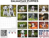 Vista 428 de Razas de Perros 2017