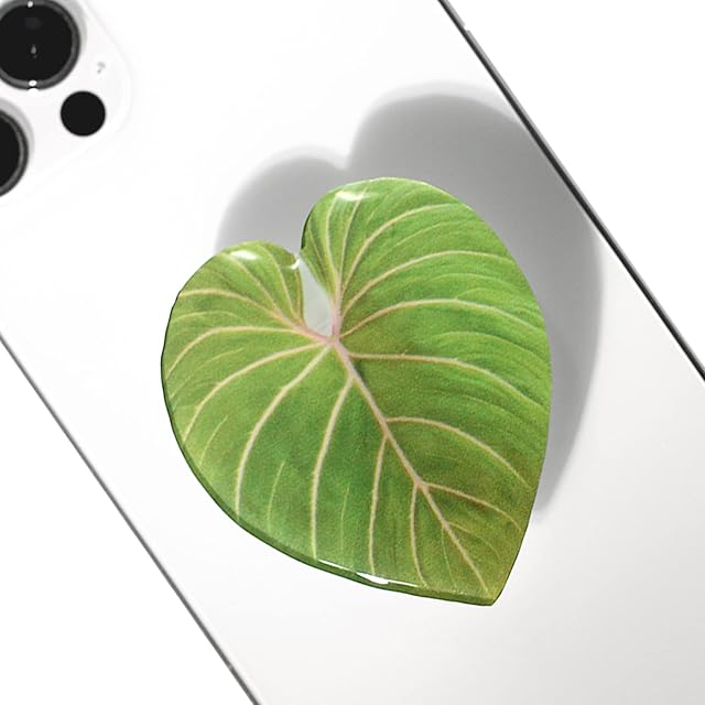 Support de poignée de téléphone en acrylique tropical mignon - Support de téléphone collapsible avec adhésif collant pour smartphones & Comprimés : Poignée sécurisée & Fonction Kickstand (Gloriosum)