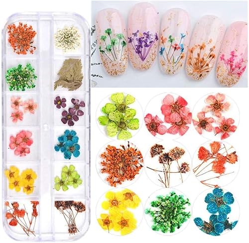 3 cajas de flores secas para arte de uñas, 36 colores de flores secas, mini flores naturales reales, suministros de arte de uñas, apliques 3D,