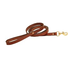 Tory Leather Rolled Handle Dog Leash Oakbark