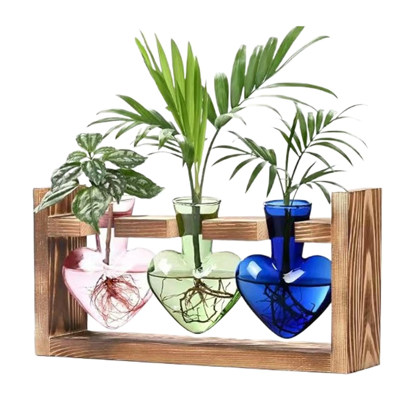 Vase de propagation pour les amoureux de plantes et de décoration originale