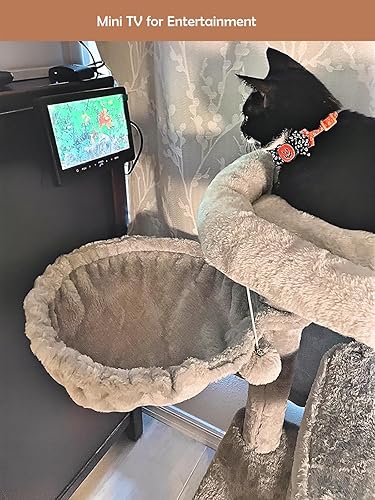 Miniatura 6 de 7 pulgadas pequeño HDMI VGA AV RCA Monitor 1080P Segunda pantalla para PCsistema de seguridadconsola de juegos IPS 1024X600 píxeles 60HZ Altavoces y