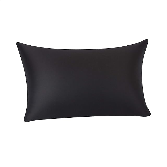 Amazon Basics 100% Mulberry Silk Pillowcase for Hair and Skin, Zip Closure Dual Side 19 Momme Silk, Black, 50 x 75 cm, 1-Pack