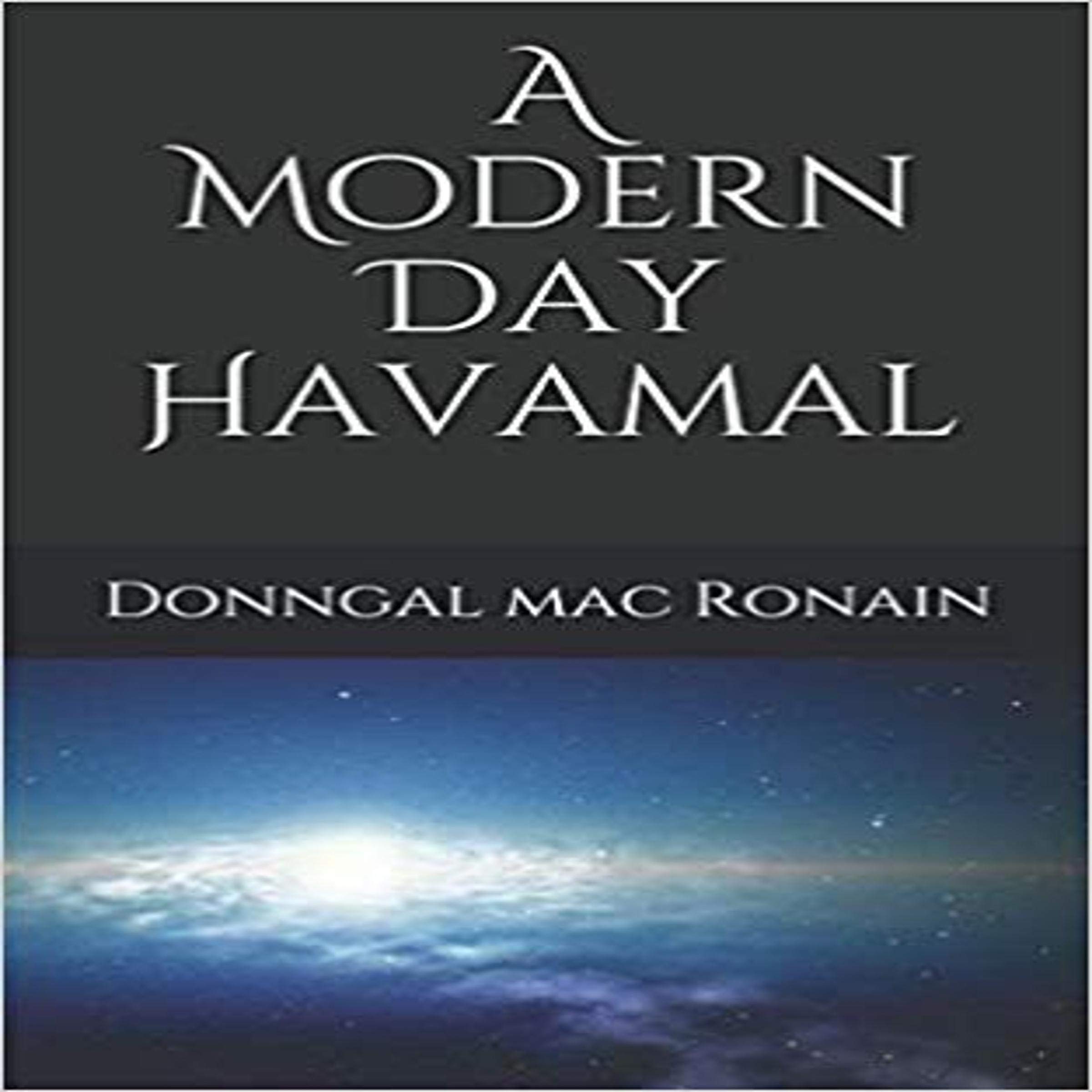 Cover art for A Modern Day Havamal