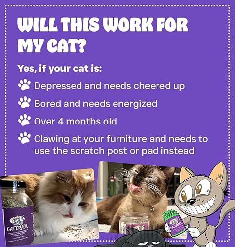 Miniatura 13 de Cat Crack Hierba gatera orgánica, mezcla orgánica 100% natural que energiza y excita a los gatos, golosinas seguras de hierba gatera utilizadas