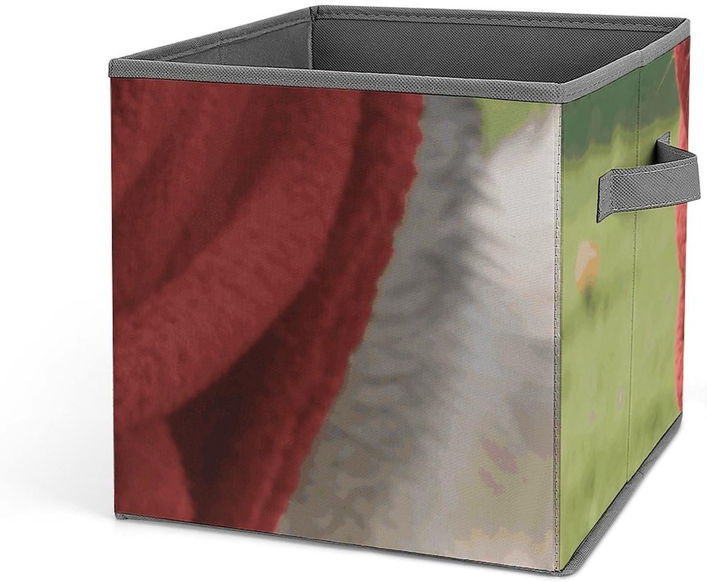Funny HuskyFoldable Sturdy Storage Bins