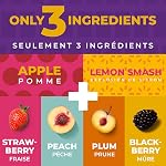Healthy Snacks pour les adultes par Zest Delites, Cuir de fruits, Lavashak, Fraise, mûre, pêche, prune, collations de fruits séchés, sans gluten, végétalien, emballé individuellement 36x25g
