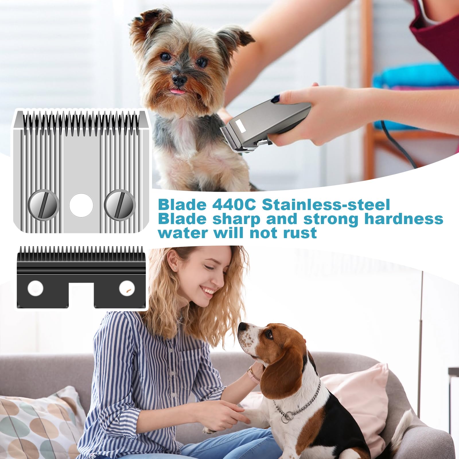 BESTBOMG Confezione da 2 pezzi Star Blade, lama di ricambio per tosaerba per cani, compatibile con il tosaerba Moser Rex 1230, in acciaio inossidabile, 3 mm