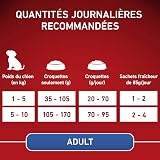 Ver la foto 8