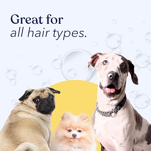 Miniatura 3 de Honest Paws Champú y acondicionador para perros, lavado prémium para perros para alergias y sequedad, picazón, hidratante para pieles sensibles, sin