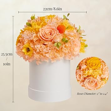 ROSEROSE Preserved Flowers for Delivery Prime,Forever Flowers Bouquet with Gift Box, Eternal Real flowers Gifts for Women,Christmas,Valentine's Day,Anniversary,Birthday for Her (Champagne)