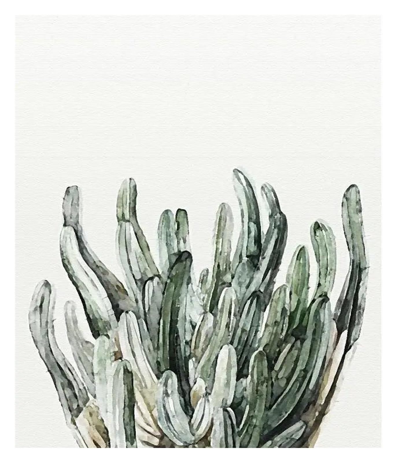 Impression sur toile Monstera Deliciosa toile de coton premium 20x35