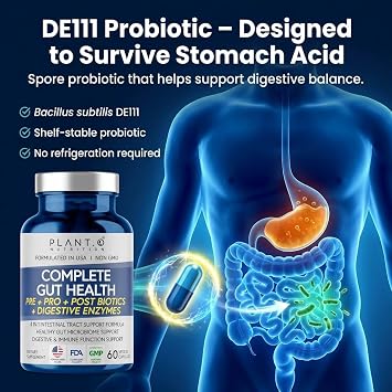 4-in-1 Gut Health - Prebiotics + Probiotics + Digestive Enzymes | Postbiotics for Men & Women, DE111 Spore Probiotic, Bloating Relief & Digestion, Non-GMO, 60 Veggie Capsules