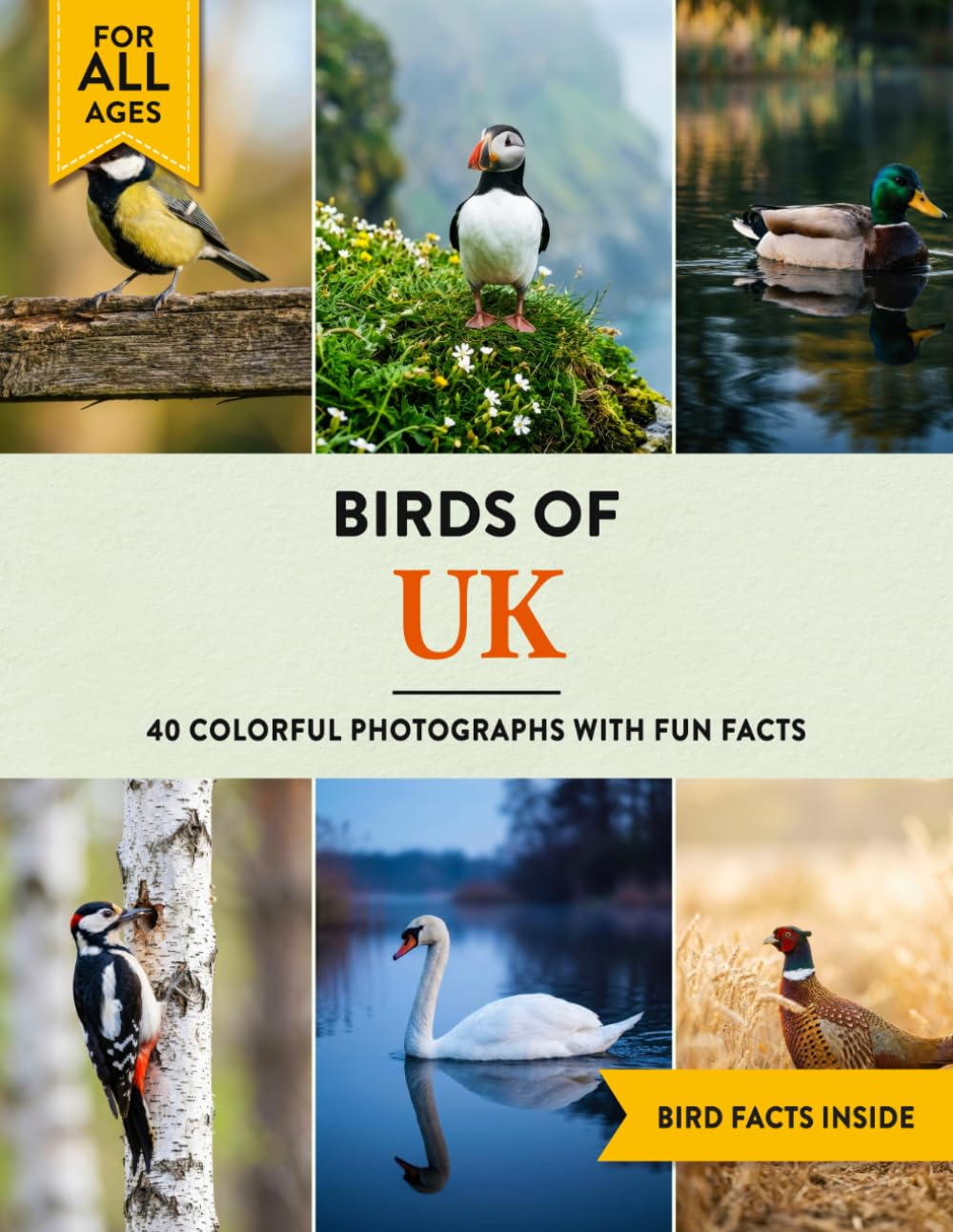 Birds of UK: A Birdwatching Picture Book with Fun Facts and Photography for Kids, Adults & Birders