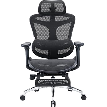 Sihoo Doro C300 Ergonomic Office Chair with Dynamic Lumbar Support