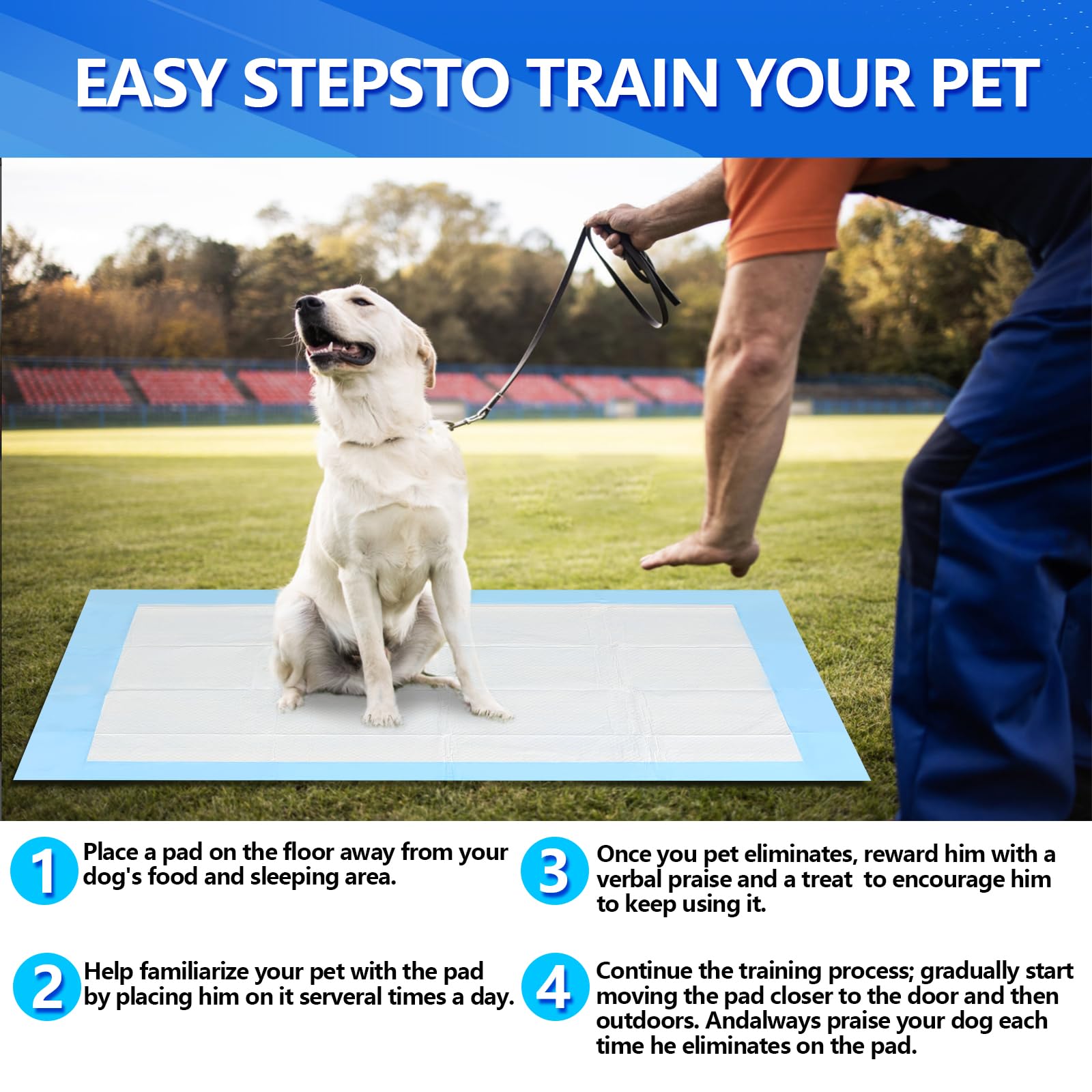Almohadillas de entrenamiento extra grandes de 80 x 120 cm, almohadilla de orina para perros, almohadilla de orina para mascotas, 6 capas, súper absorbentes (extra grande (31 x 47 pulgadas),