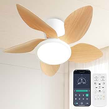 71LUtzXNT8L._AC_UF350,